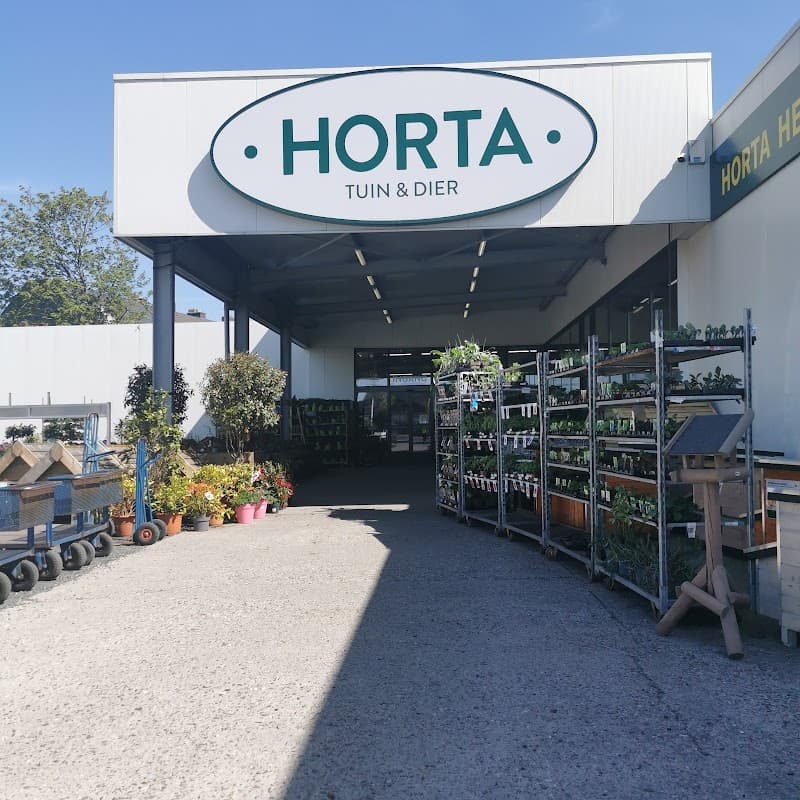 Horta